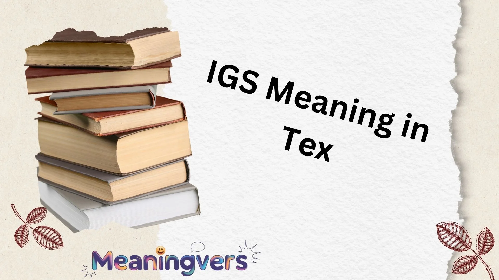 IGS Meaning in Tex