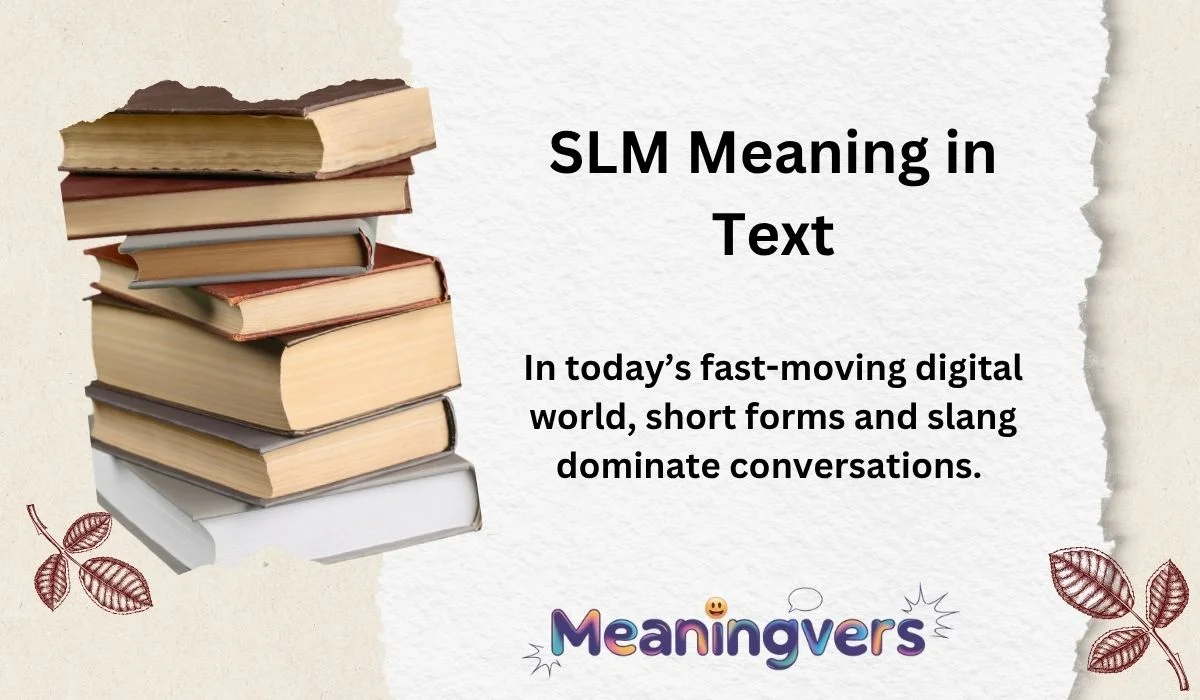 SLM Meaning in Text
