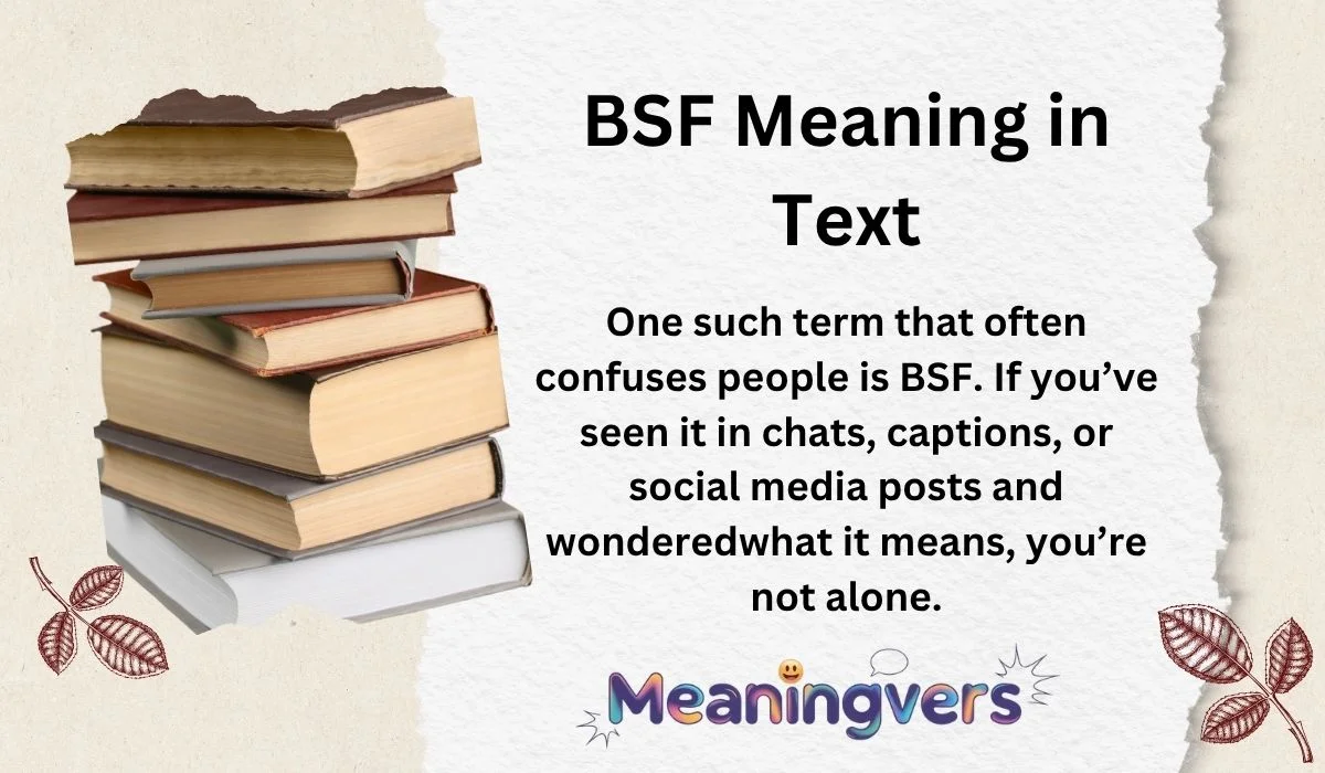 BSF Meaning in Text