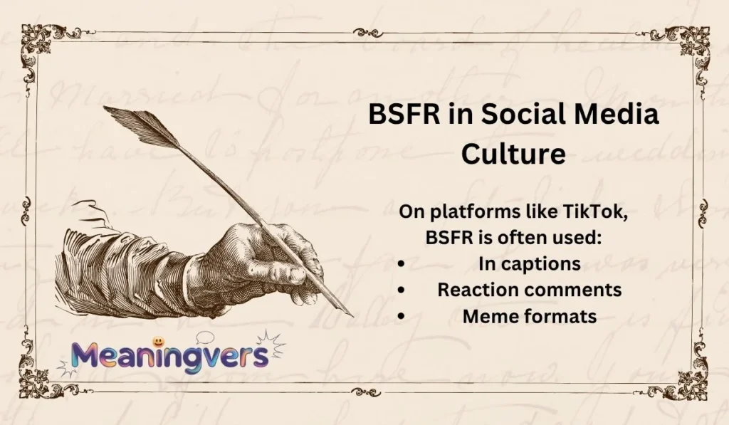 BSFR in Social Media Culture