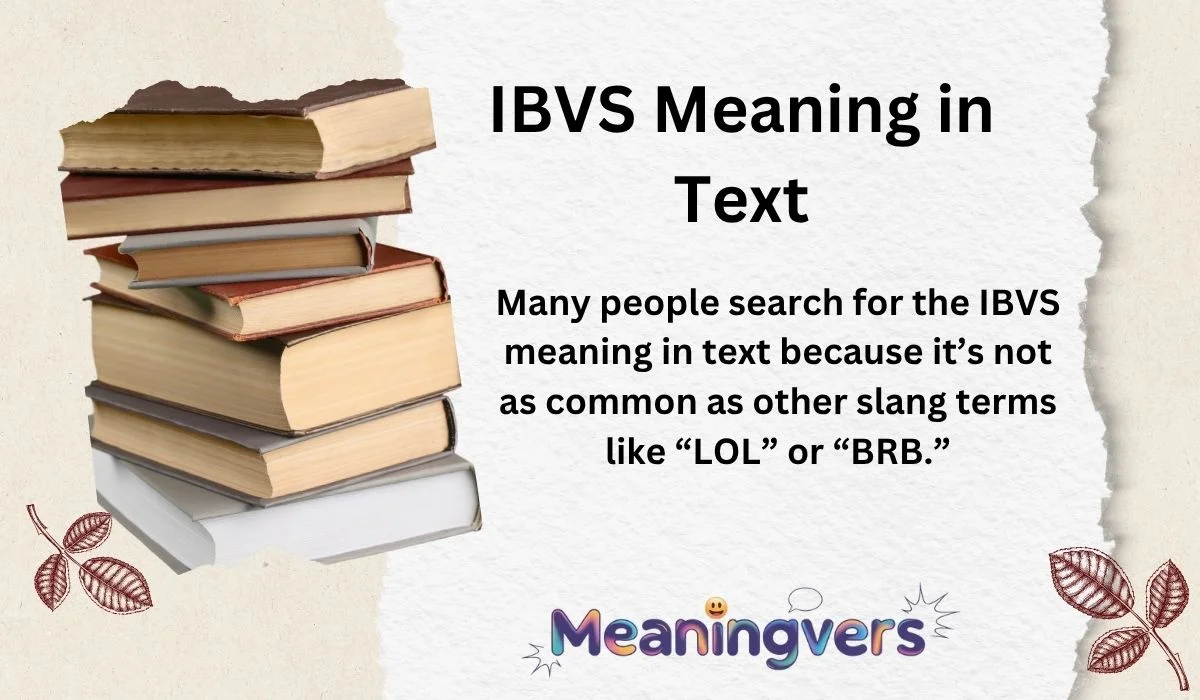 IBVS Meaning in Text