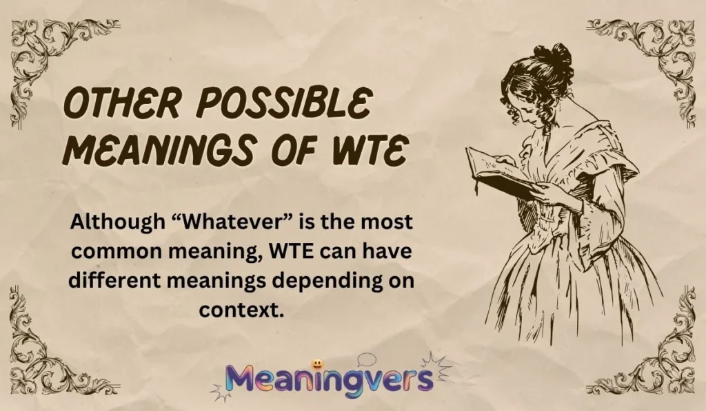 Other Possible Meanings of WTE