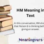 HM Meaning in Text