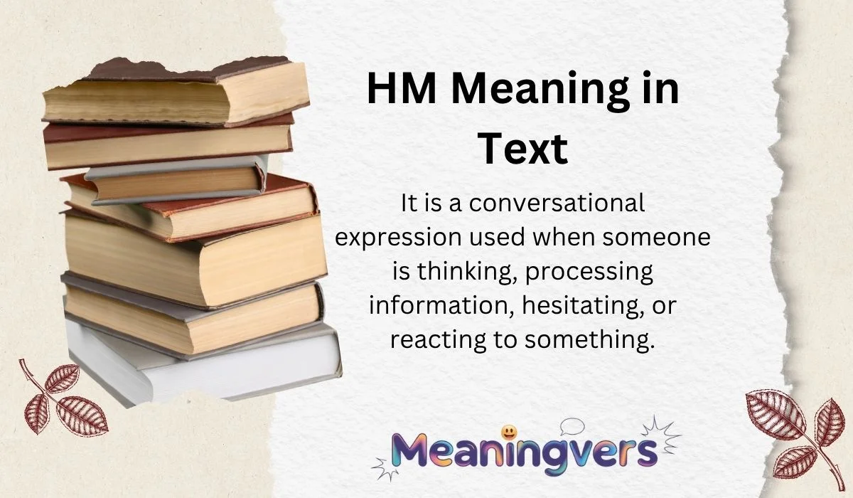 HM Meaning in Text